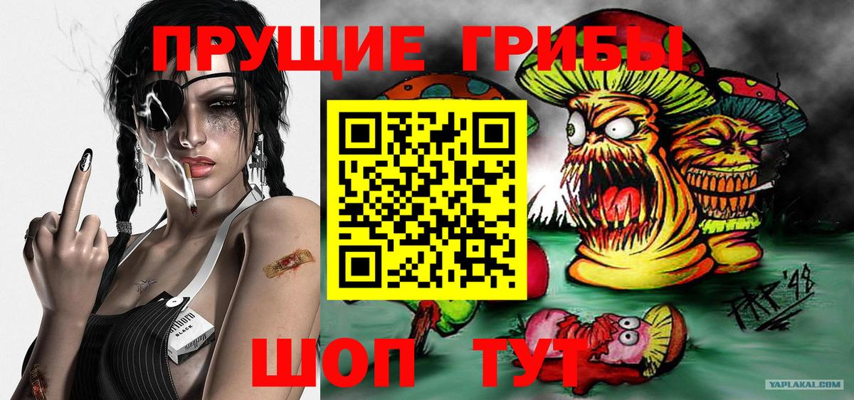 Псилоцибиновые грибы Magic Shrooms Москва