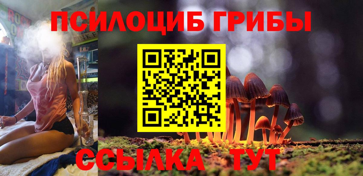 Москва  как найти   Вход с VPN  Галлюциногенные грибы Psilocybe 